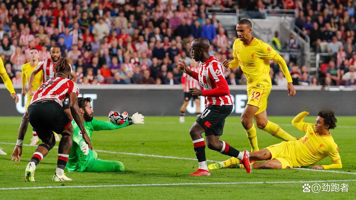 乐鱼登录-成都蓉城青岛海牛直播